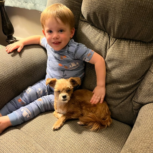 Meet your Posher, Dawn - Picture 9 of 16